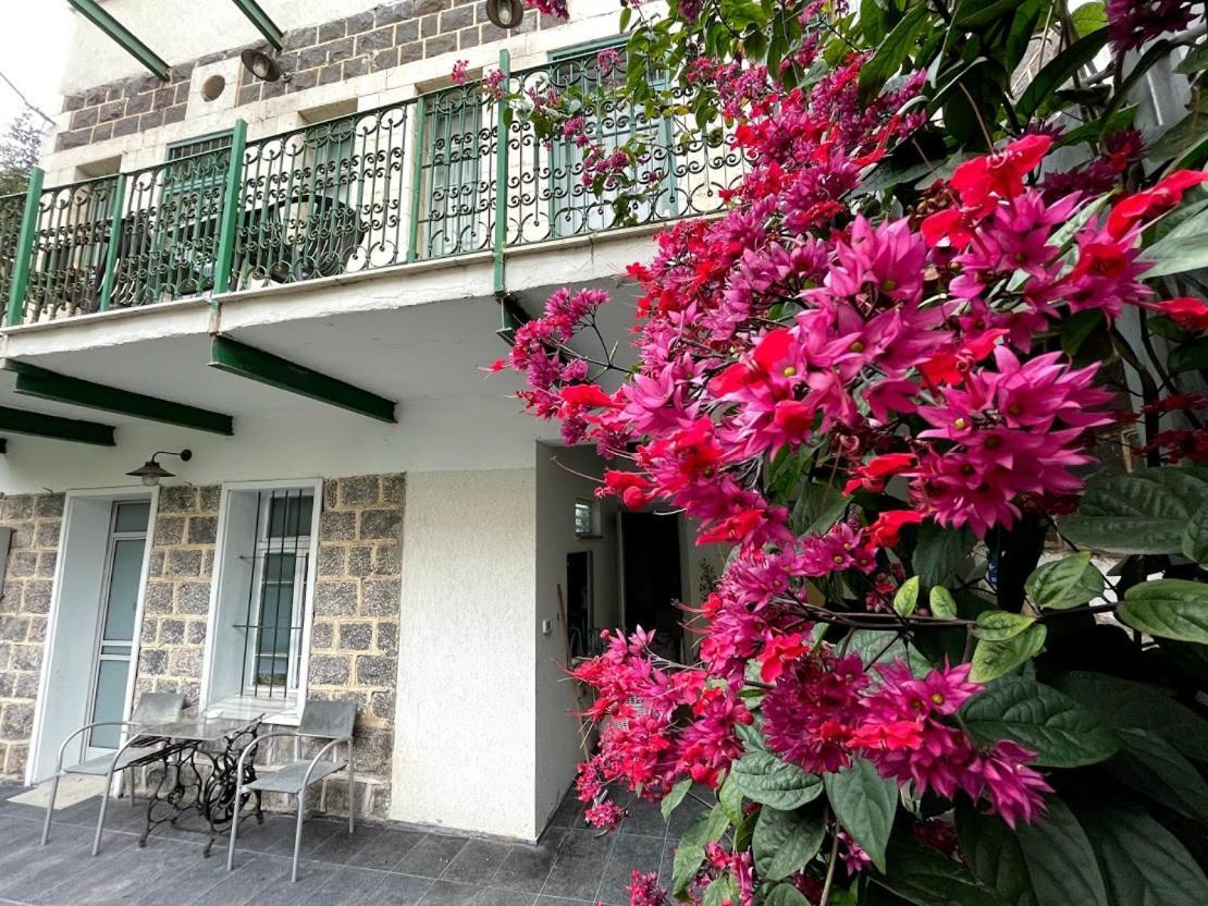 Berenice Winery Hotel Tyberiada Zewnętrze zdjęcie