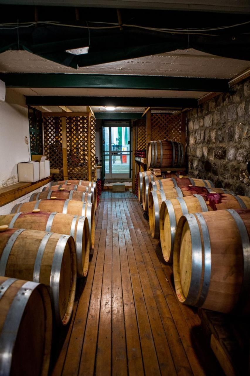 Berenice Winery Hotel Tyberiada Zewnętrze zdjęcie