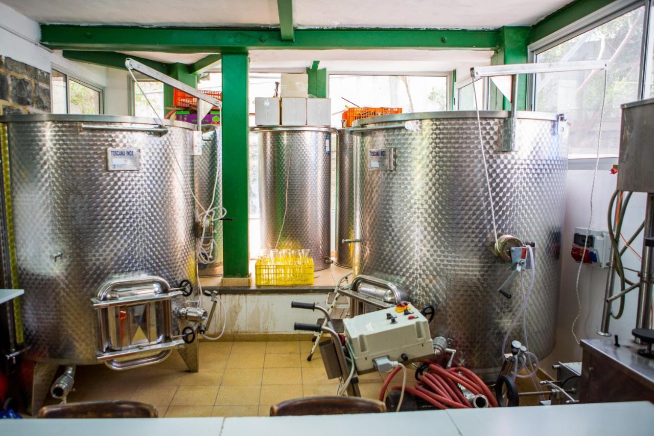 Berenice Winery Hotel Tyberiada Zewnętrze zdjęcie